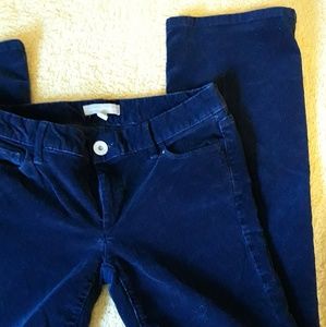 Banana Republic Cords